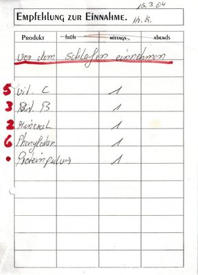 11Einnahmeplan2-2004.jpg