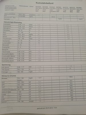 kumulativbefund
