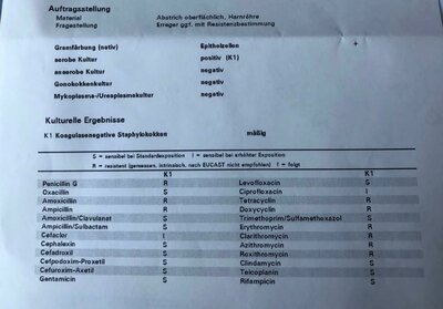 WhatsApp Image 2022-01-22 at 12.19.53.jpeg (74.54 KiB) 11219 mal betrachtet Antibiotika