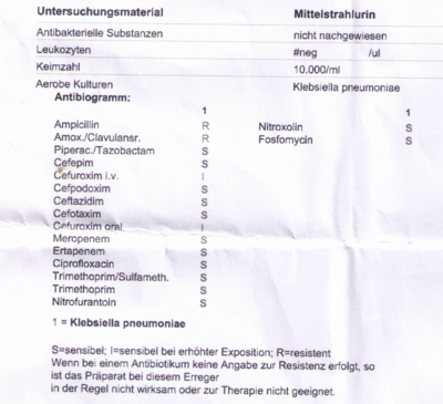 Bildschirmfoto 2023-10-29 um 00.38.26.png (540.65 KiB) 90032 mal betrachtet Befund Urin Kultur